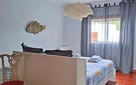 Camarcao Violante